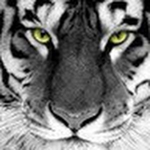 Meet your Posher, Charles